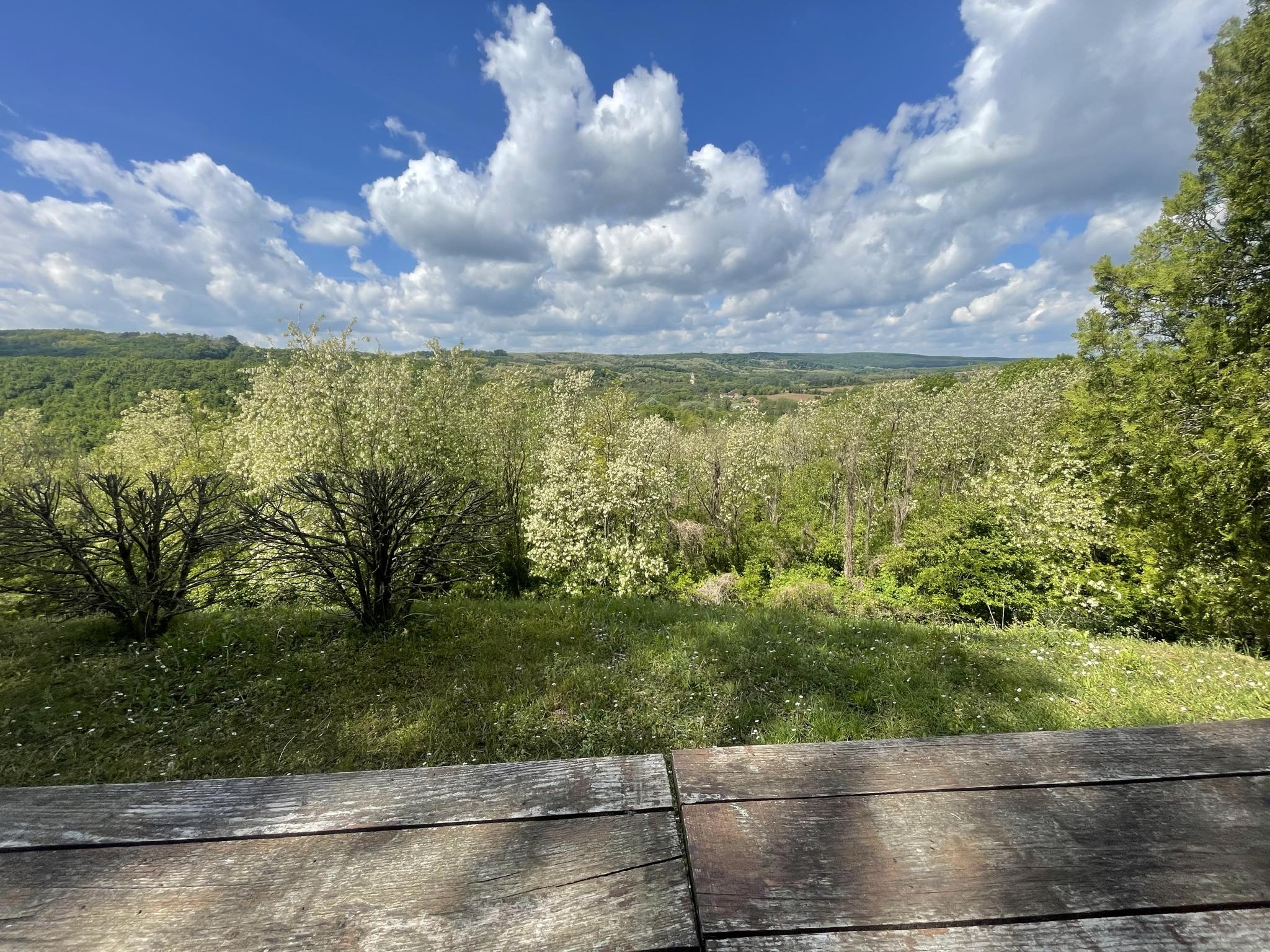 510461937_3278562655615166_1608206461856582345_n