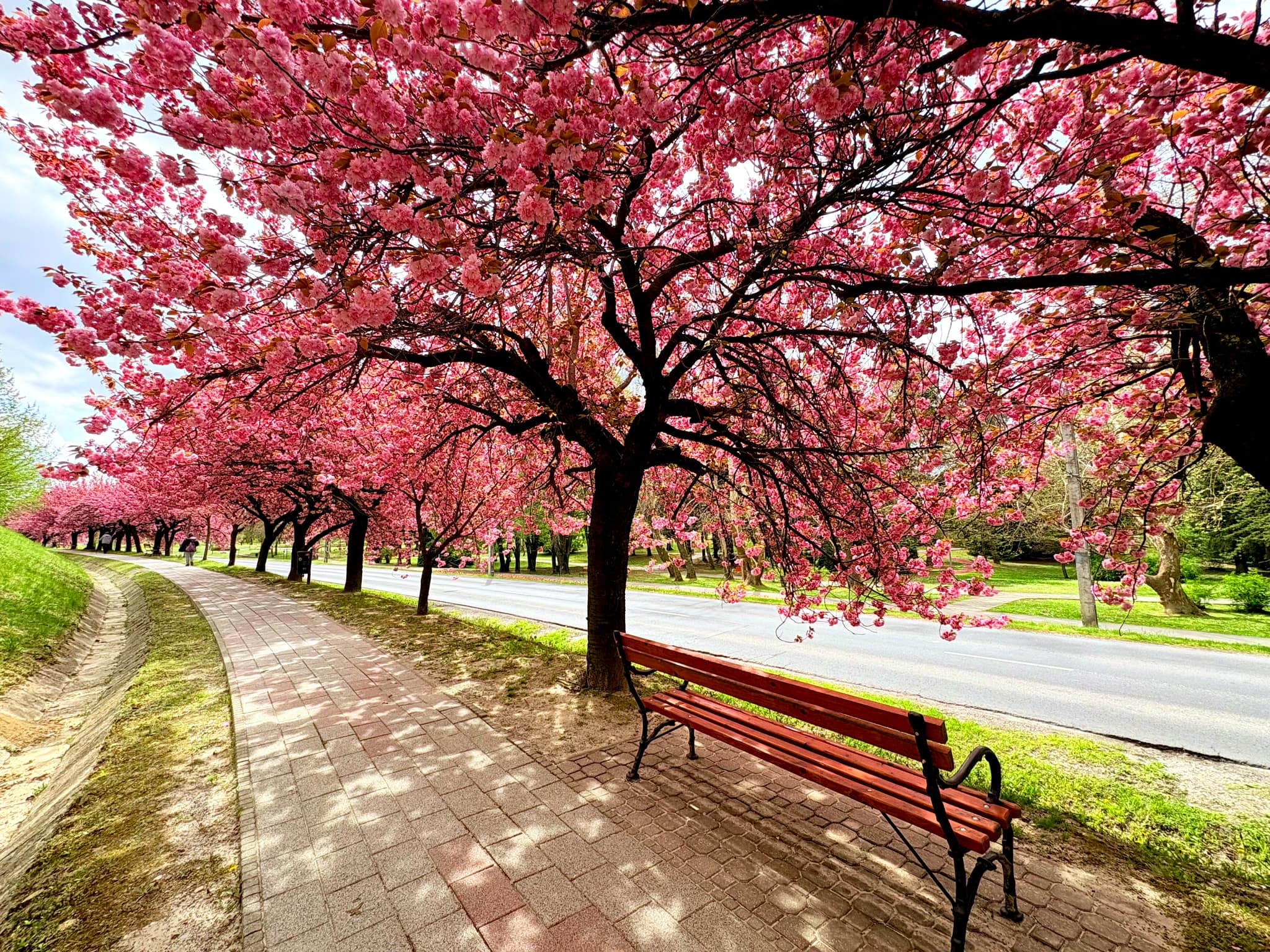 511780645_3283755518429213_1373628394423675255_n