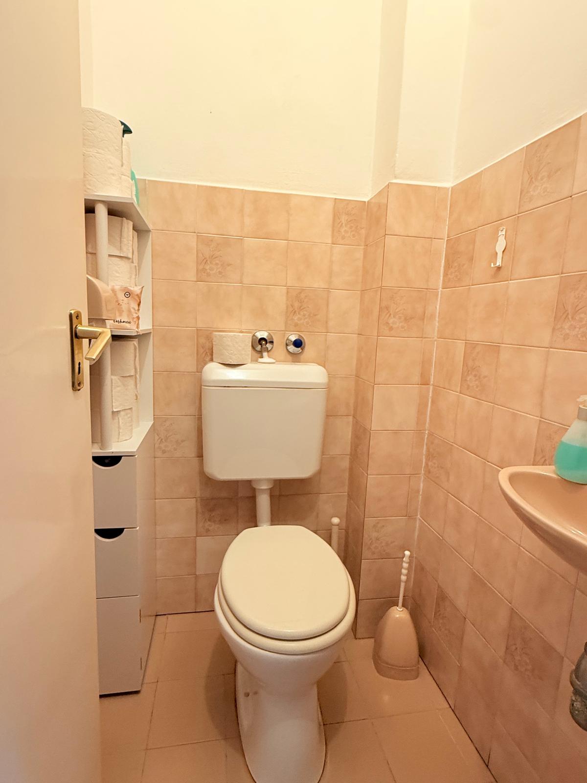 WhatsApp Image 2026-02-06 at 11.30.54