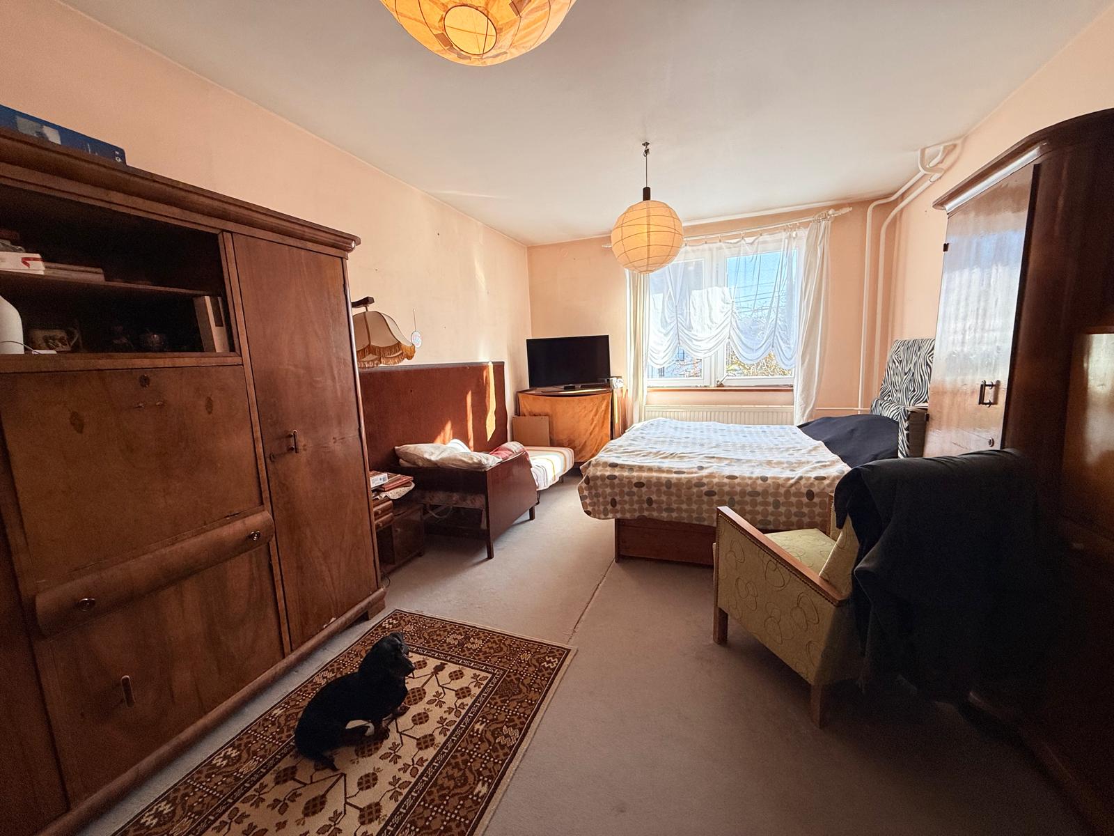 WhatsApp Image 2026-02-06 at 11.36.06