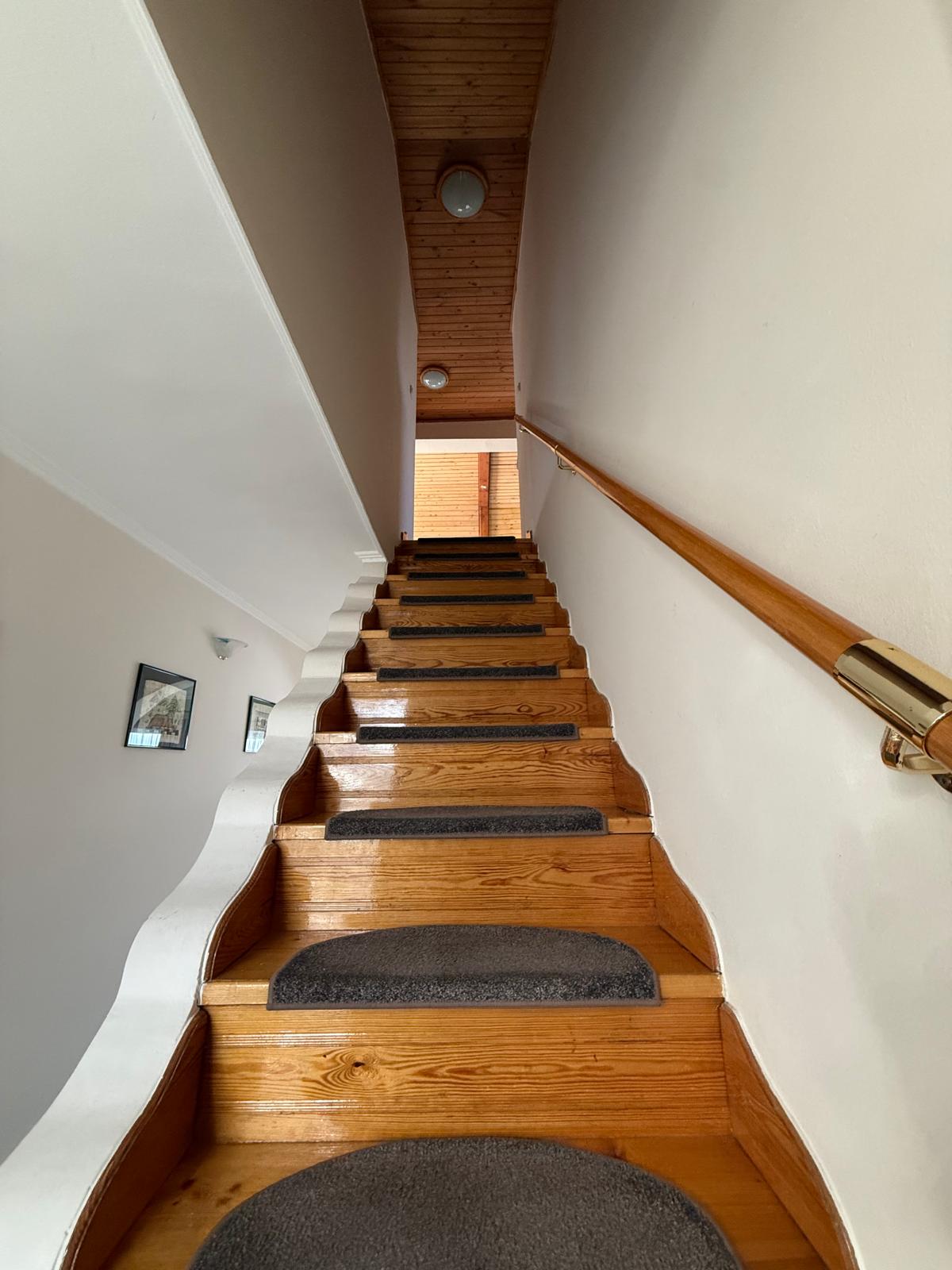 WhatsApp Image 2026-02-06 at 11.36.19