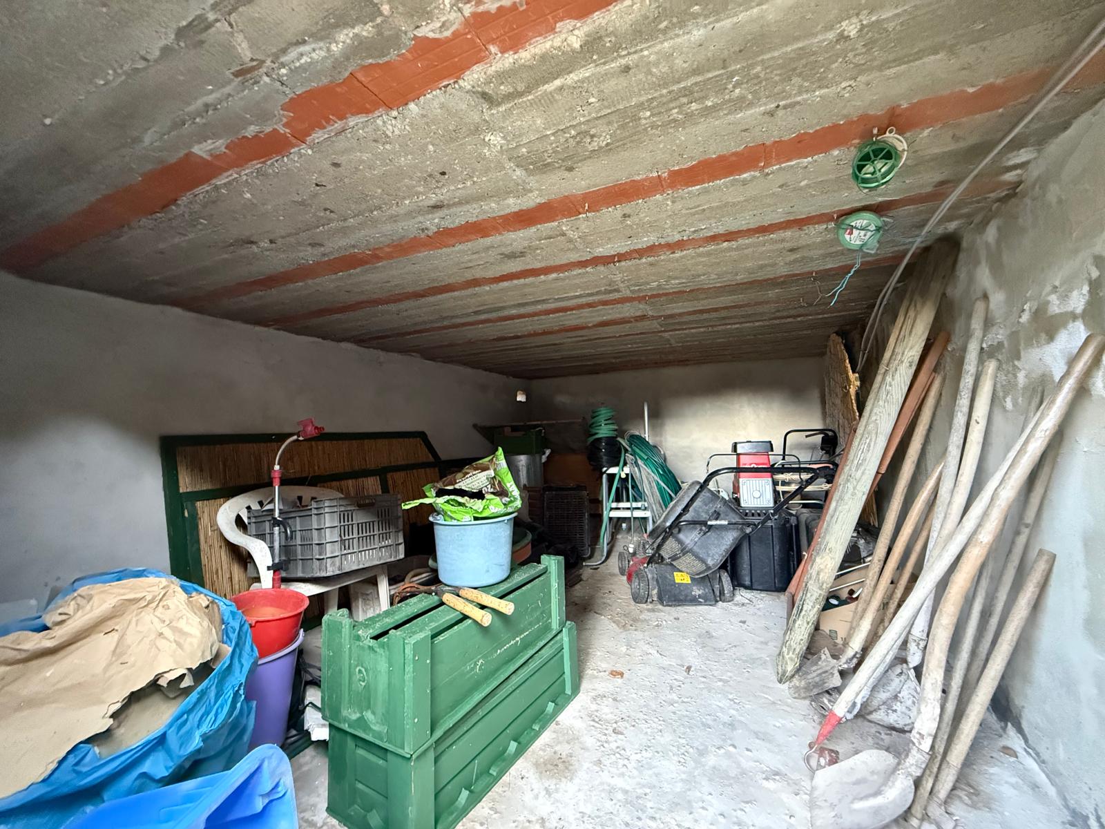 WhatsApp Image 2026-02-06 at 11.36.3