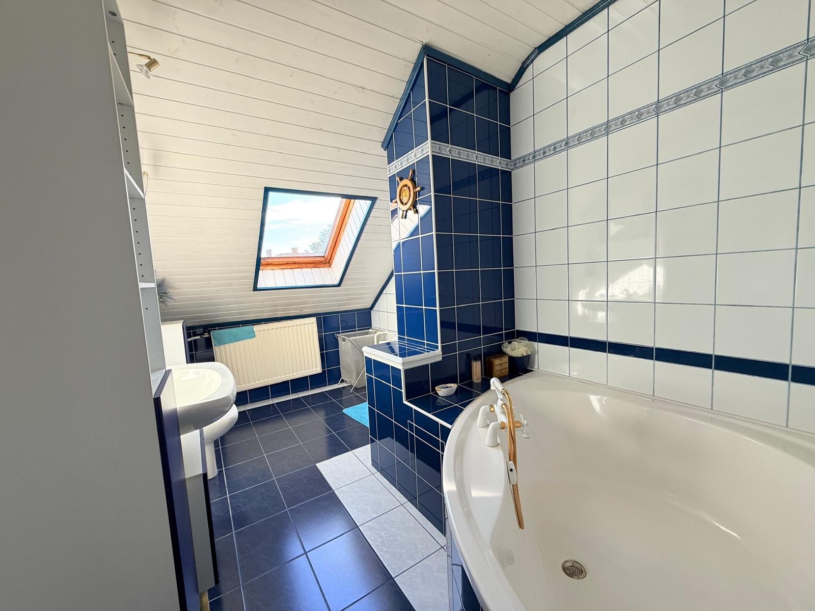 WhatsApp Image 2026-02-06 at 11.36.3444