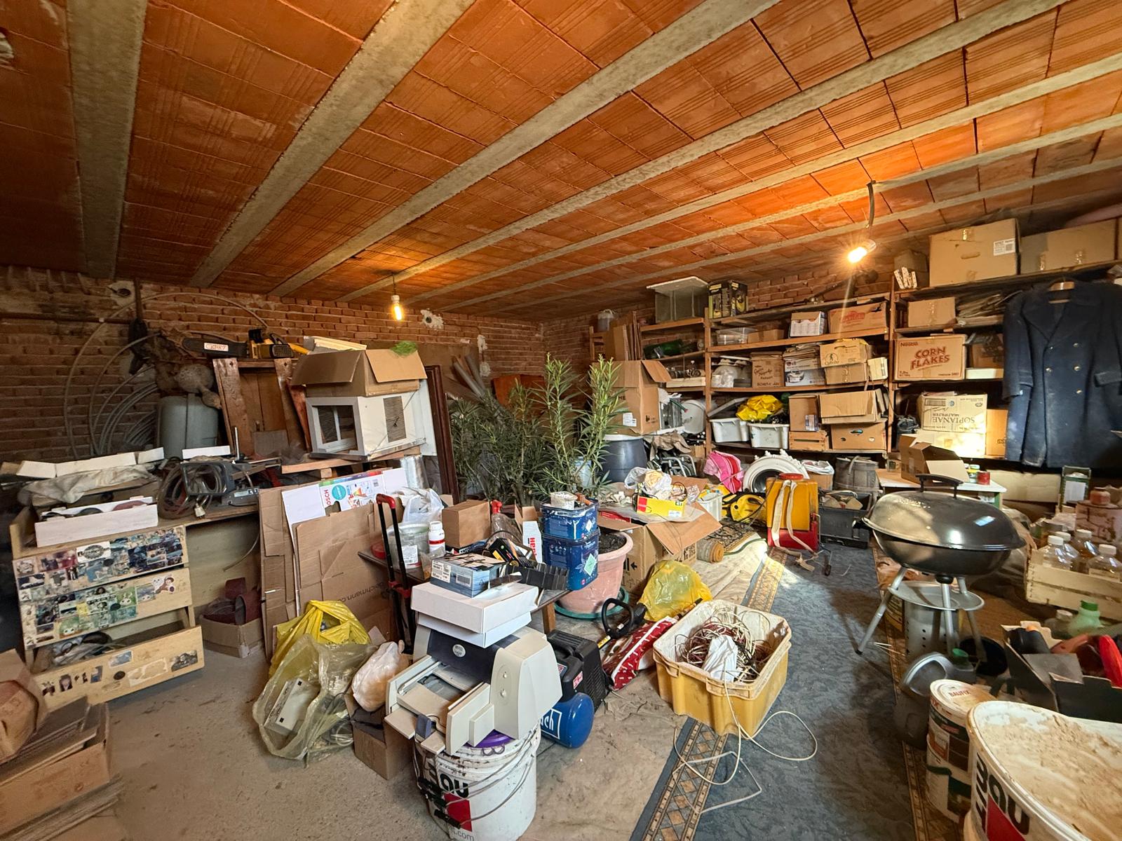 WhatsApp Image 2026-02-06 at 11.36.42