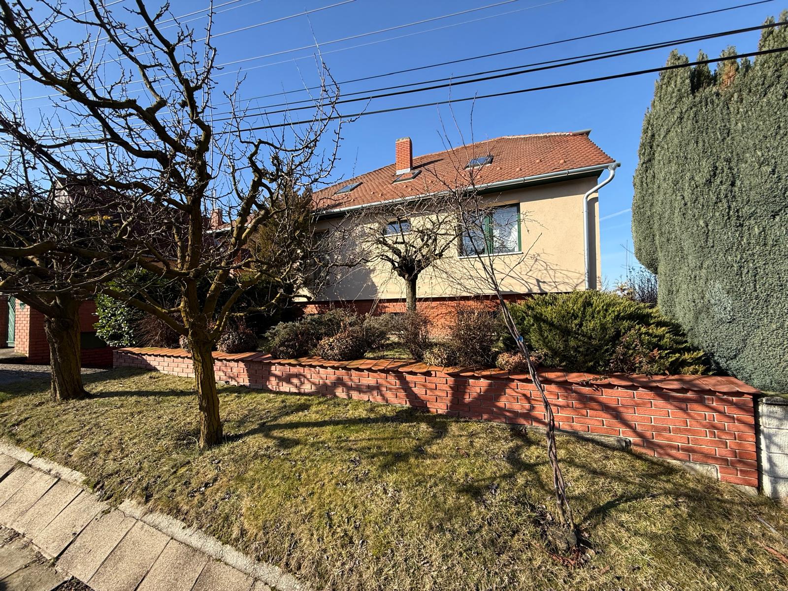 WhatsApp Image 2026-02-06 at 11.36.